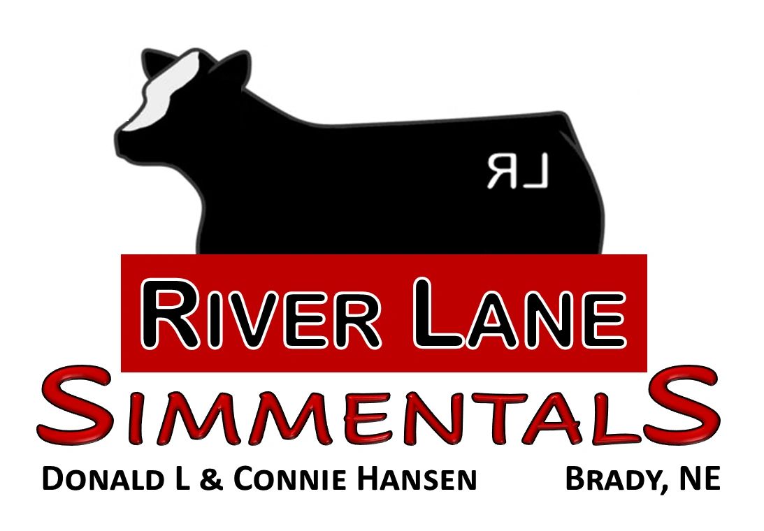 River Lane Simmentals